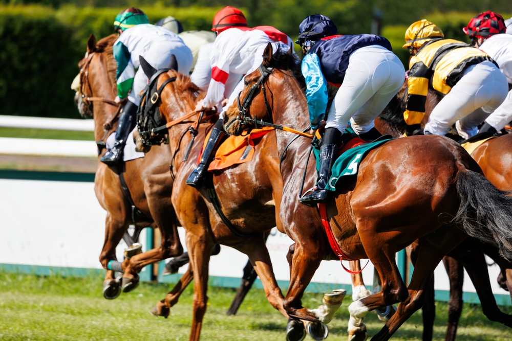 Horse Racecourses