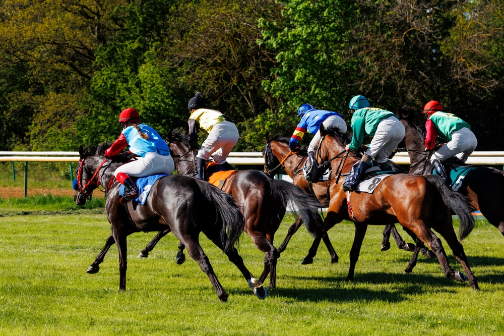 Group of jockeys horse racing.