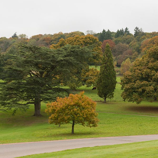 hanwell-countryside