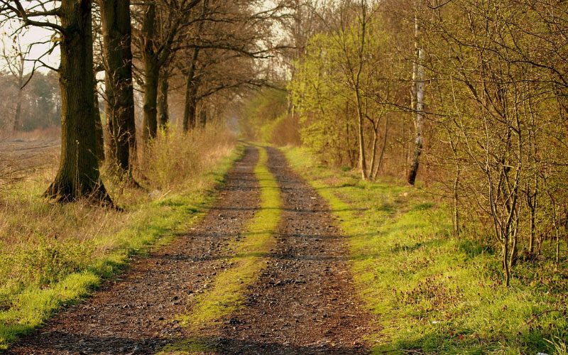 radlett-countryside