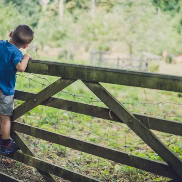Little boy climbing the wooden gates in Surrey countryside.